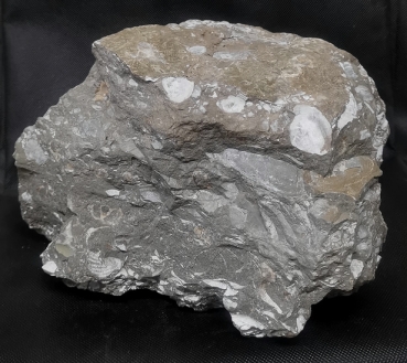 Fossilienkalk